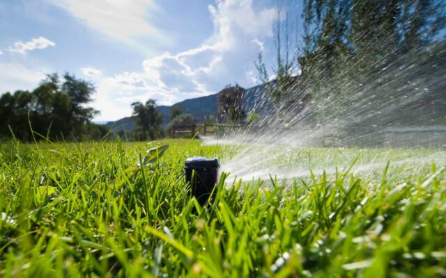 sprinkler head spraying grass