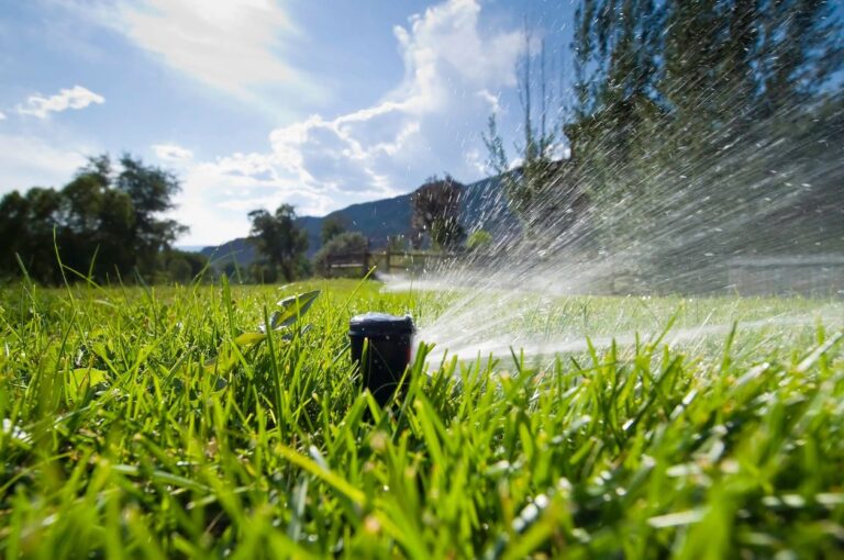 sprinkler head spraying grass